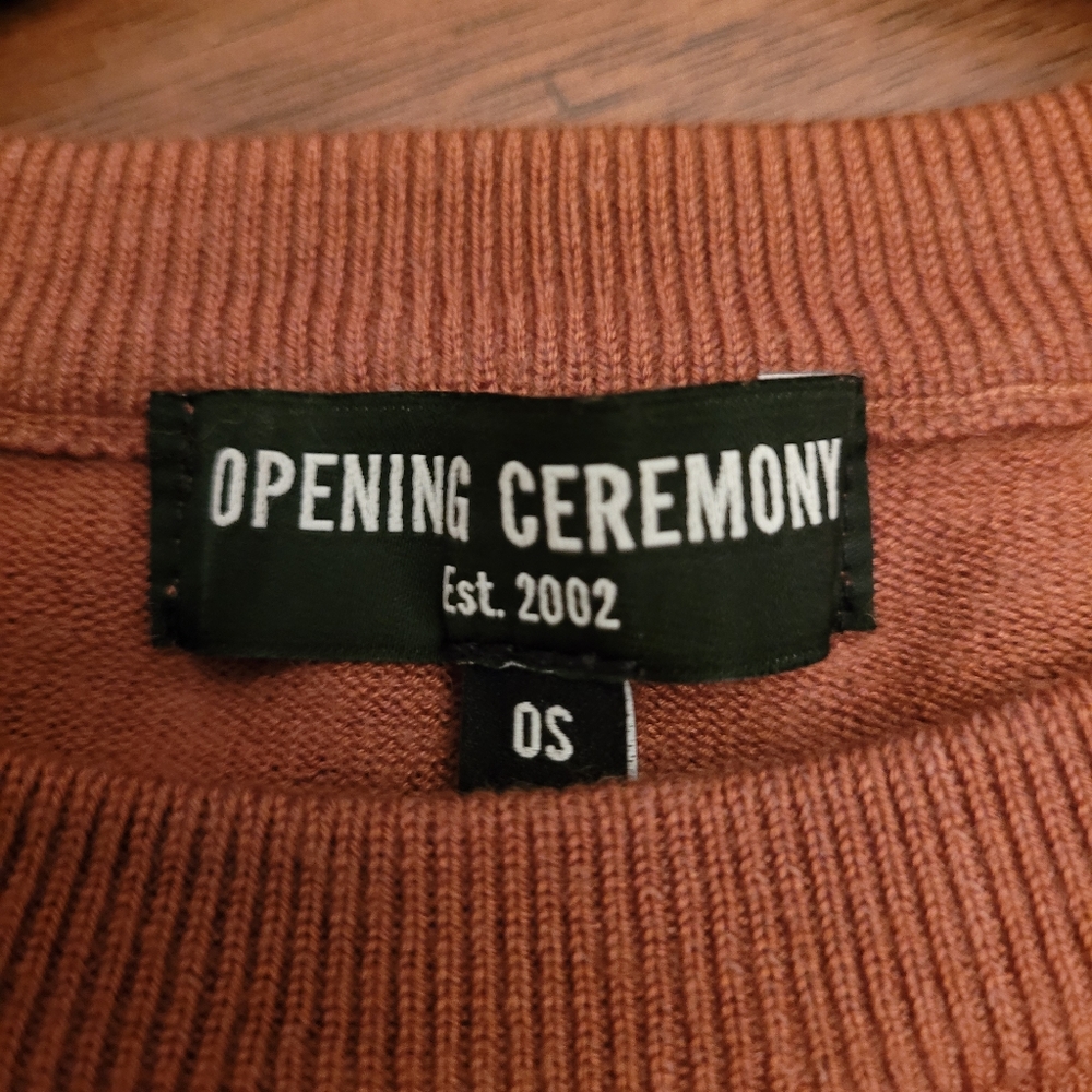 Opening Ceremony Rust Ruffle Sweater - Picture 5 of 9